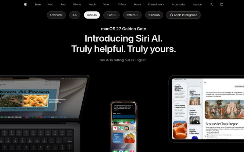 The front page of macoslion.com